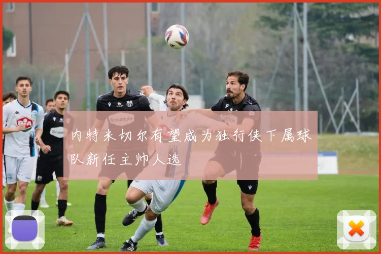 内特米切尔有望成为独行侠下属球队新任主帅人选